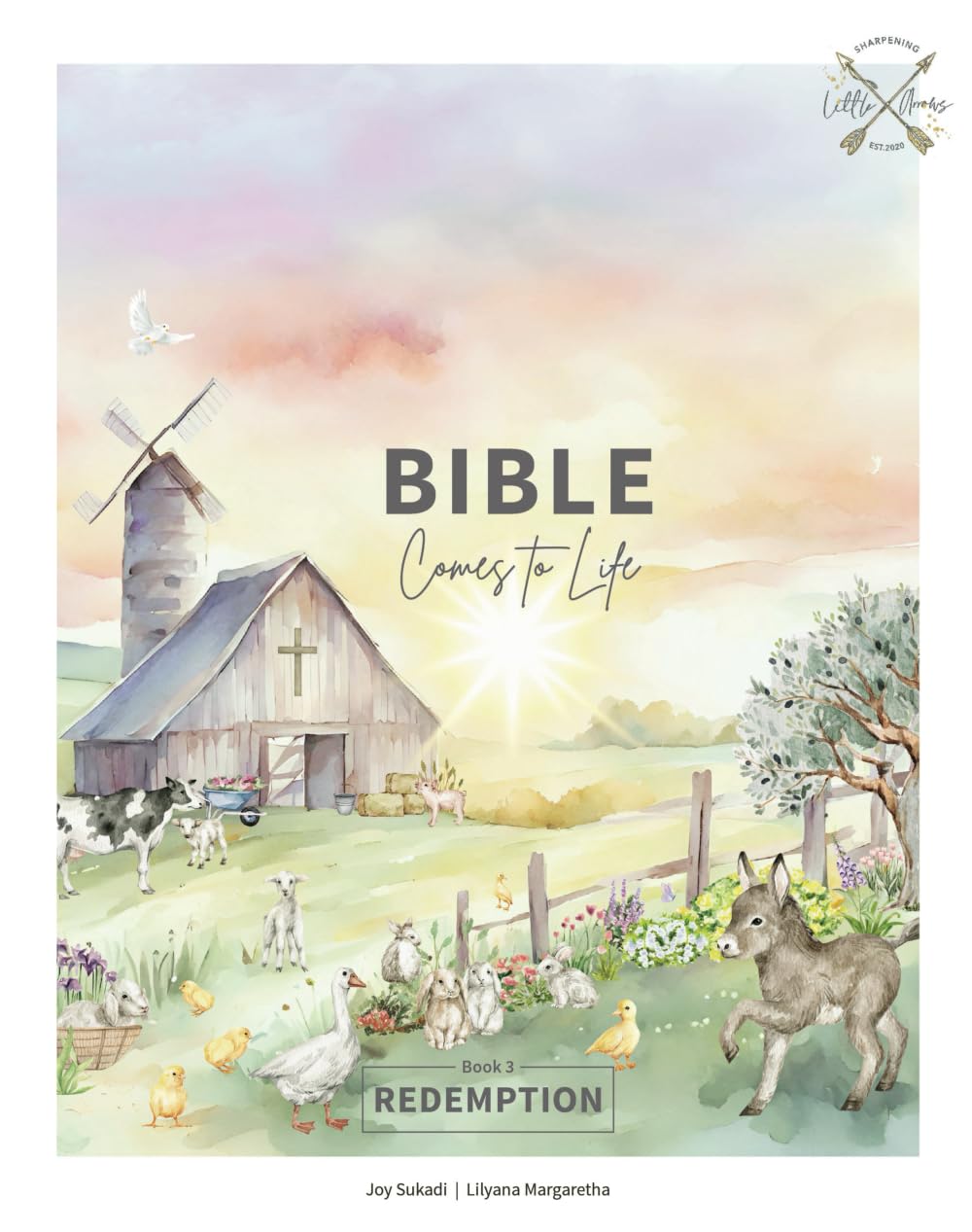 Redemption: Discovering Salvation, Jesus' Life, and the Power of the Gospel (Bible Comes to Life, Band 3)