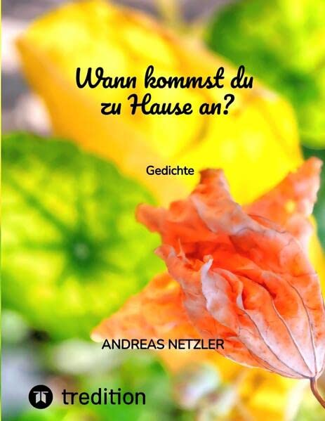 Wann kommst du zu Hause an?: Gedichte