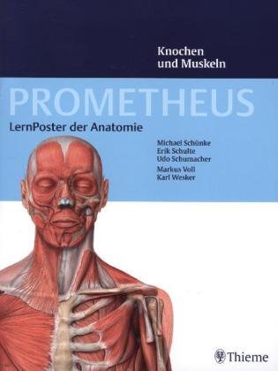 PROMETHEUS LernPoster der Anatomie, Knochen und Muskeln, 9783132444263