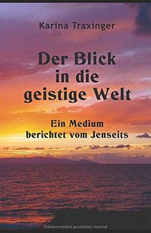 Der Blick in die geistige Welt - Ein Medium berichtet vom Jenseits