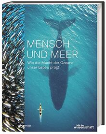 Mensch und Meer: Wie die Macht der Ozeane unser Leben prägt