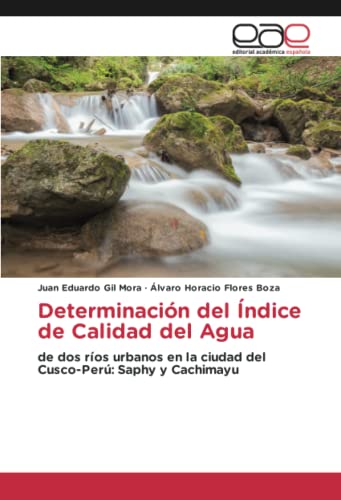 Determinación del Índice de Calidad del Agua: de dos ríos urbanos en la ciudad del Cusco-Perú: Saphy y Cachimayu