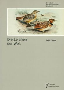 LERCHEN DER WELT  ALAUDIDAE