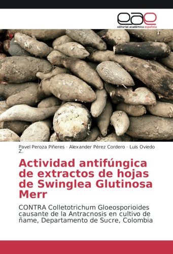 Actividad antifúngica de extractos de hojas de Swinglea Glutinosa Merr: CONTRA Colletotrichum Gloeosporioides causante de la Antracnosis en cultivo de ñame, Departamento de Sucre, Colombia