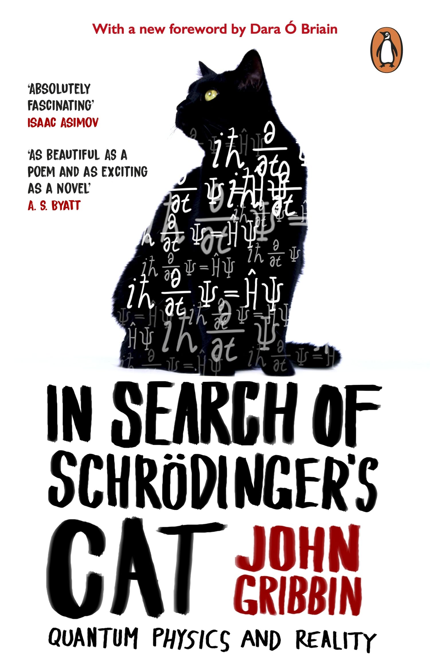 John Gribbin In Search Of Schrodinger's Cat, The Bestselling Classic Introduction To Quantum Physics