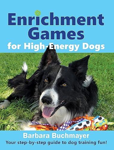 Enrichment Games for High-Energy Dogs: Your step-by-step guide to dog training fun!
