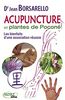 Acupuncture et plantes de Poconé : les bienfaits d'une association réussie