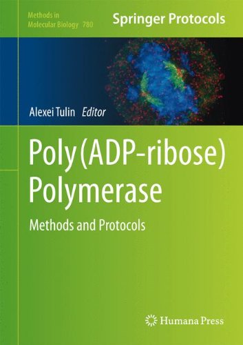 Poly(ADP-ribose) Polymerase: Methods and Protocols (Methods in Molecular Biology)