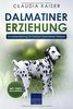Dalmatiner Erziehung: Hundeerziehung für Deinen Dalmatiner Welpen