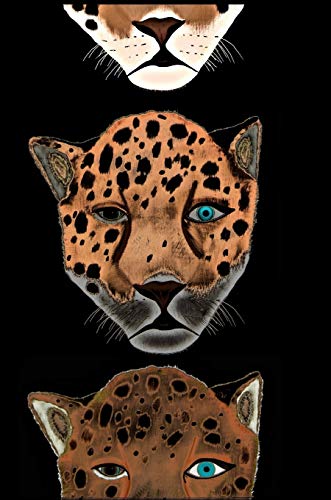 Mindbook: Jaguars