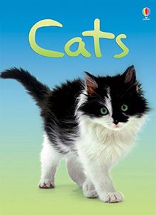 Cats (Beginners Series)