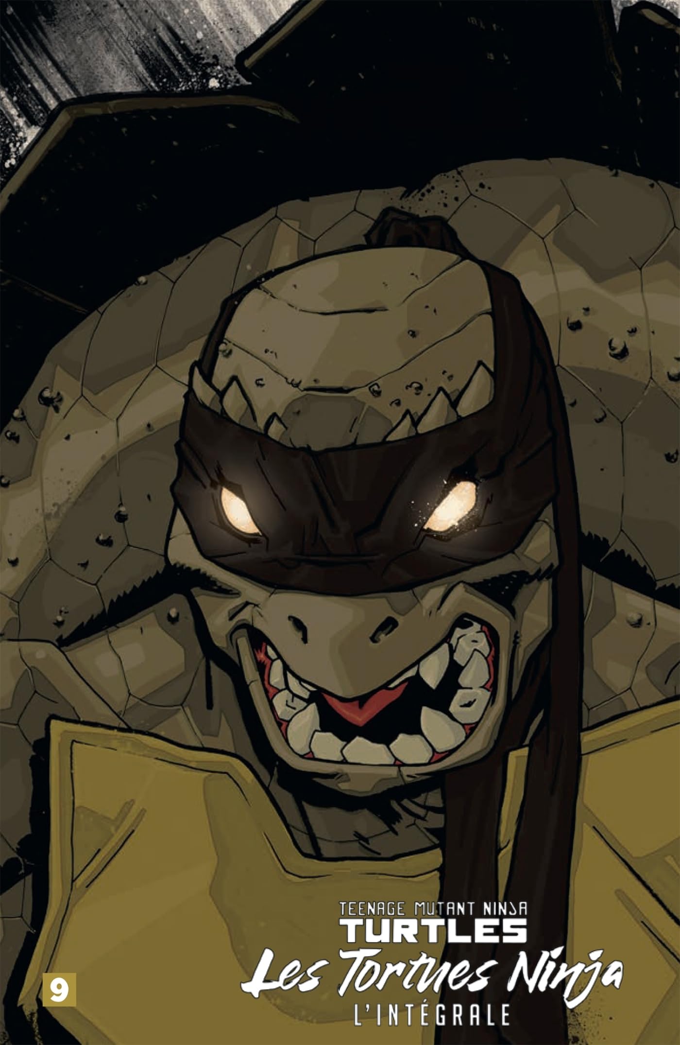 Teenage mutant ninja Turtles : les Tortues ninja : l'intégrale. Vol. 9