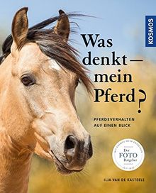 Was denkt mein Pferd - FOTORATGEBER von van de Kasteele, Ilja | Buch | Zustand sehr gut