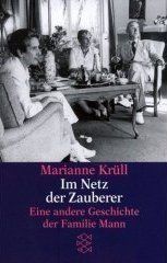 Im Netz der Zauberer: Eine andere Geschichte der Familie Mann