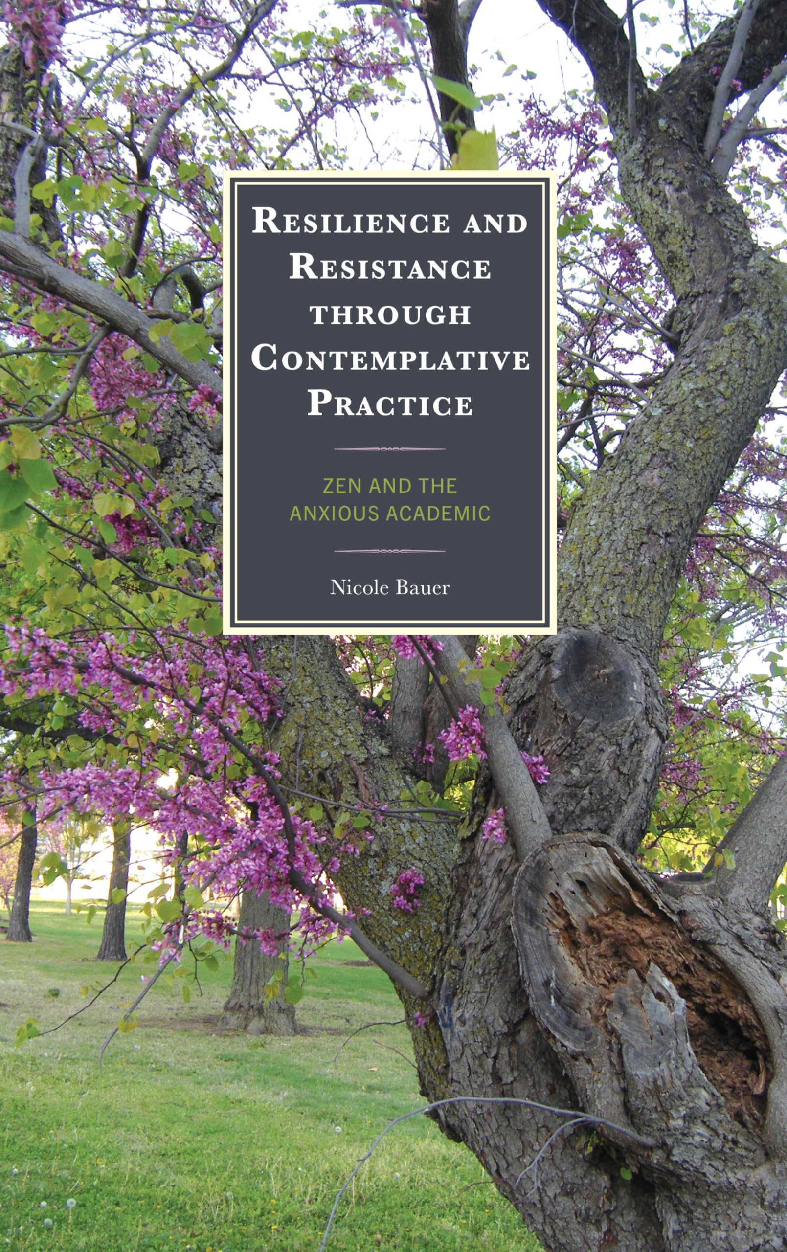 Resilience and Resistance through Contemplative Practice: Zen and the Anxious Academic (Mindfulness in Education)