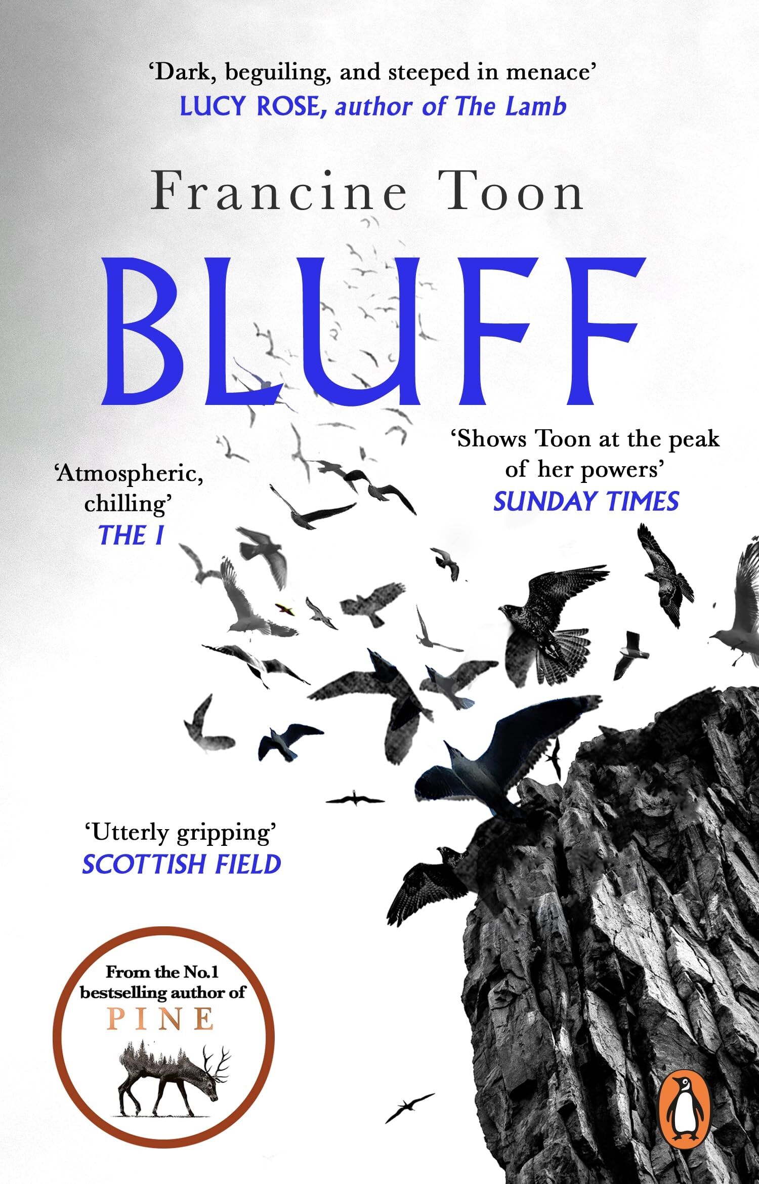Bluff