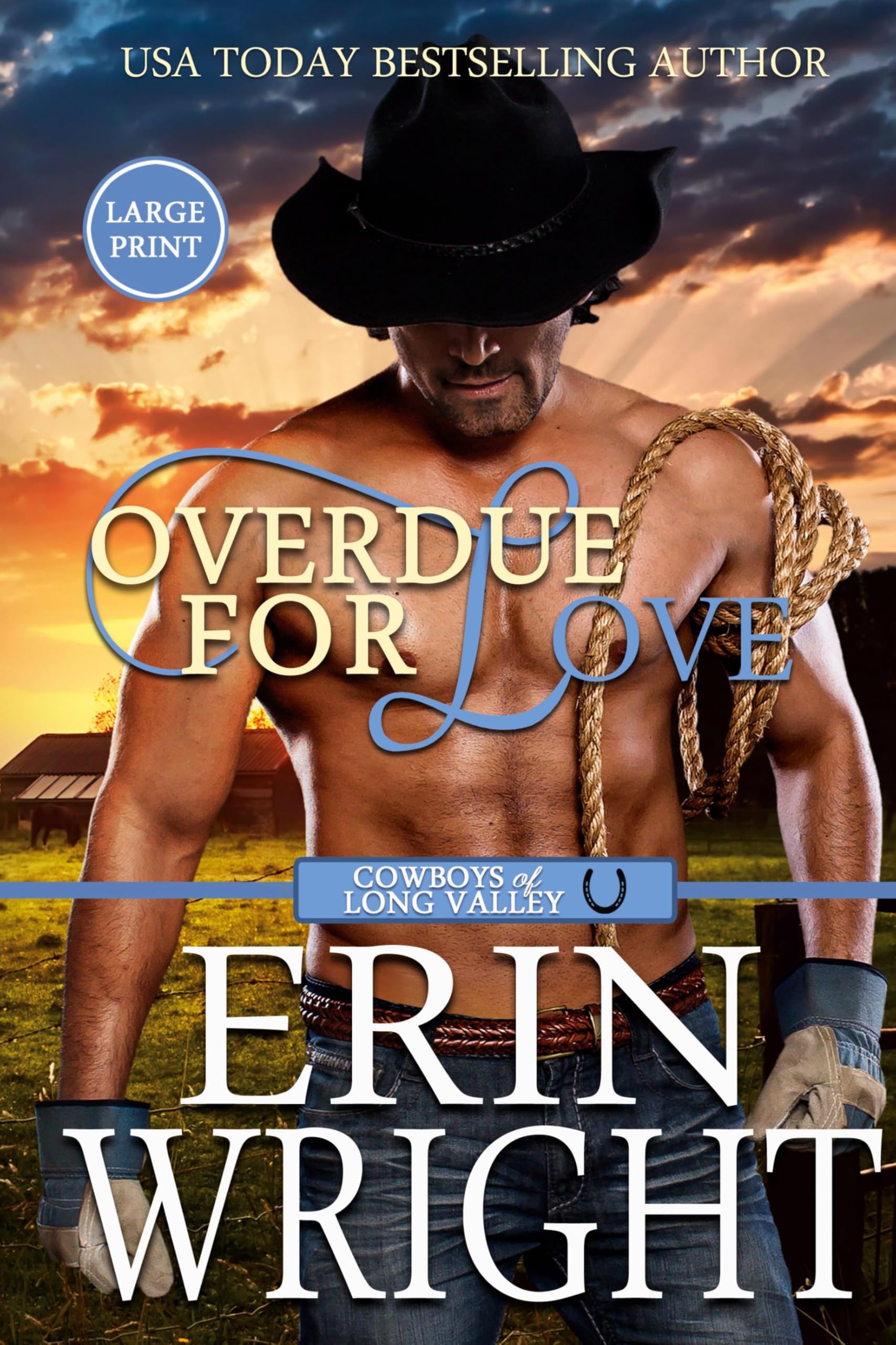 Overdue for Love: A Secret Baby Western Romance (Large Print - Hardcover) (Cowboys of Long Valley Romance - Large Print Hardcover, Band 6)