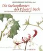 Die Seelenpflanzen des Edward Bach: Neue Einsichten in die Bach-Blütentherapie