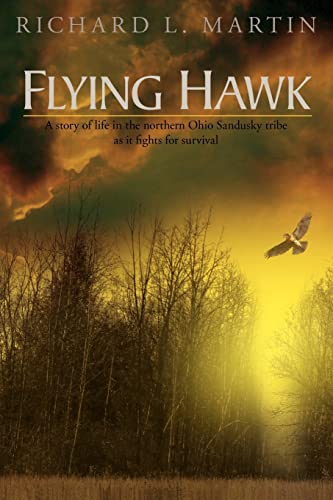 Flying Hawk: A story of life in the northern Ohio Sandusky tribe as it fights for survival