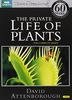 Private Life of Plants (Repackaged) [2 DVDs] [UK Import]