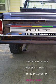 Out in the Country: Youth, Media, and Queer Visibility in Rural America (Intersections: Transdisciplinary Perspectives on Genders and Sexualities (Paperback))