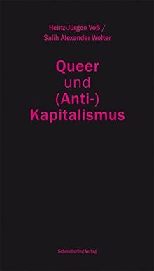 Queer und (Anti-)Kapitalismus (Politik)