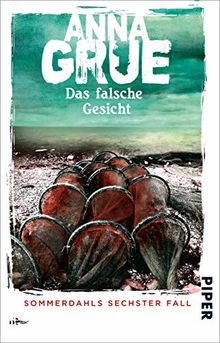 Das falsche Gesicht: Sommerdahls sechster Fall (Dan-Sommerdahl-Reihe, Band 6)