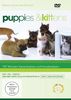Puppies & Kittens - Hunde und Katzen [Special Collector's Edition] [Special Edition]