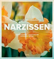 Narzissen: Leuchtende Frühlingsboten