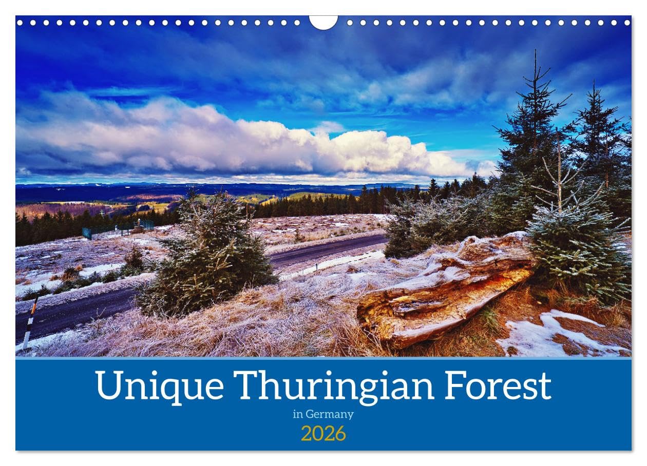 Unique Thuringian Forest (Wall Calendar 2026 DIN A3 landscape), CALVENDO 12 Month Wall Calendar: Insights into the landscapes of the Thuringian Forest