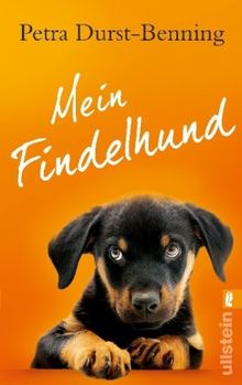 Mein Findelhund