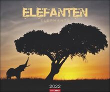 Elefanten Kalender 2022: Elephants