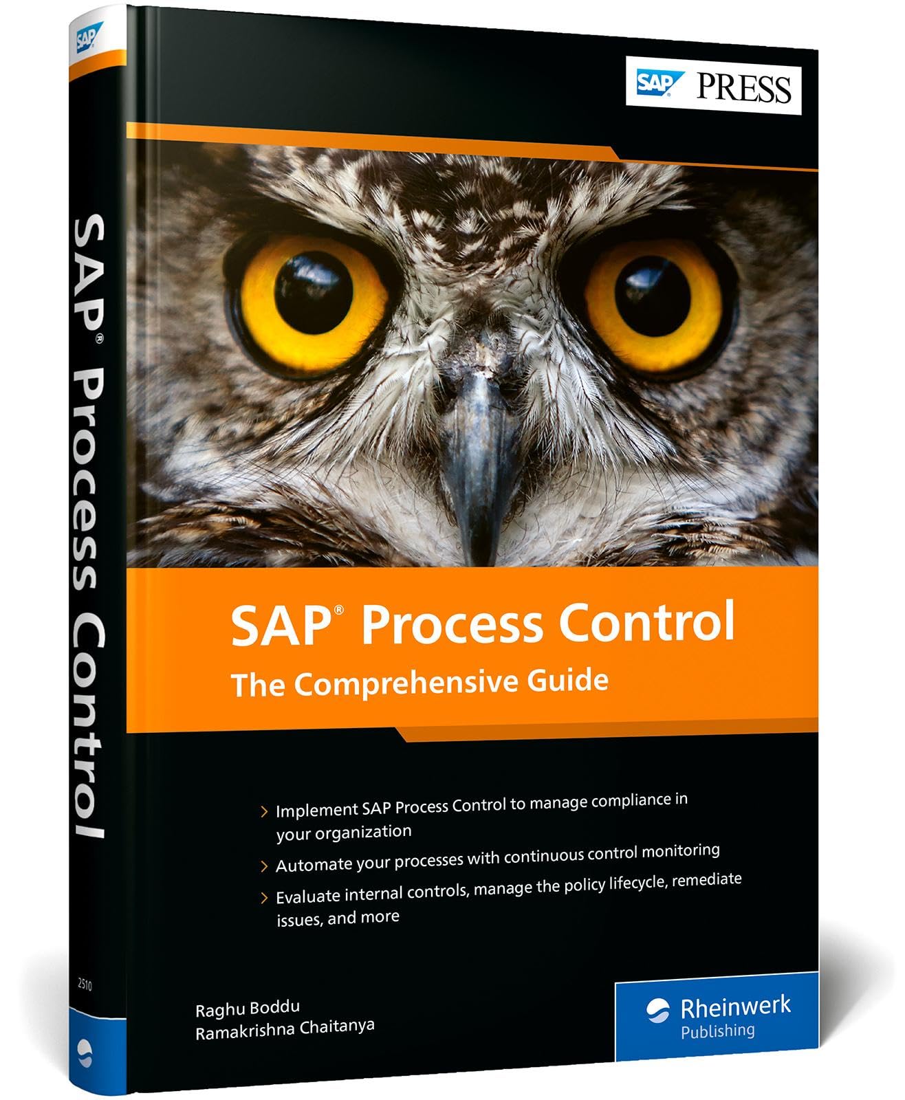SAP Process Control: The Comprehensive Guide (SAP PRESS: englisch)