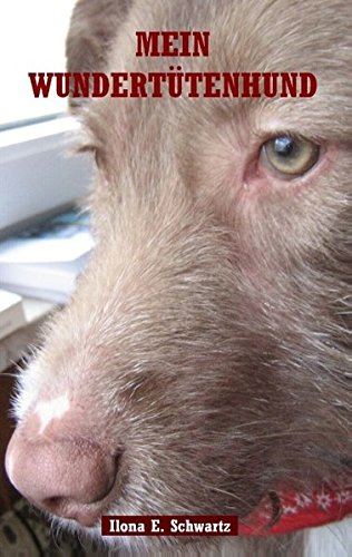 Mein Wundertütenhund: Das andere Tierbuch