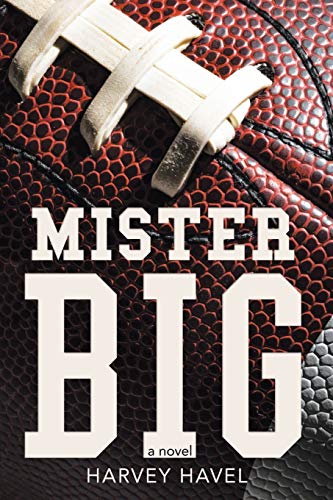Mister Big: A Novel