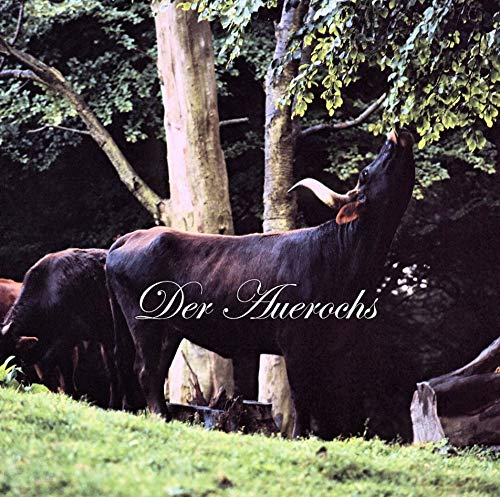 Der Auerochs: Das Europäische Rind