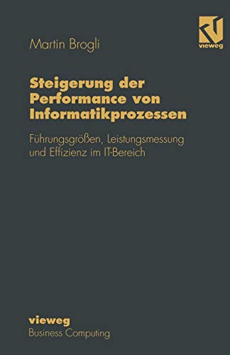 Steigerung der Performance von Informatikprozessen: Führungsgrößen, Leistungsmessung und Effizienz im IT-Bereich (Wirtschaftswissenschaften)