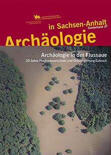 Archäologie in der Flussaue. 20 Jahre Hochwasserschutz und Ortsumgehung Eutzsch (Archäologie in Sachsen Anhalt / Sonderb. 27)