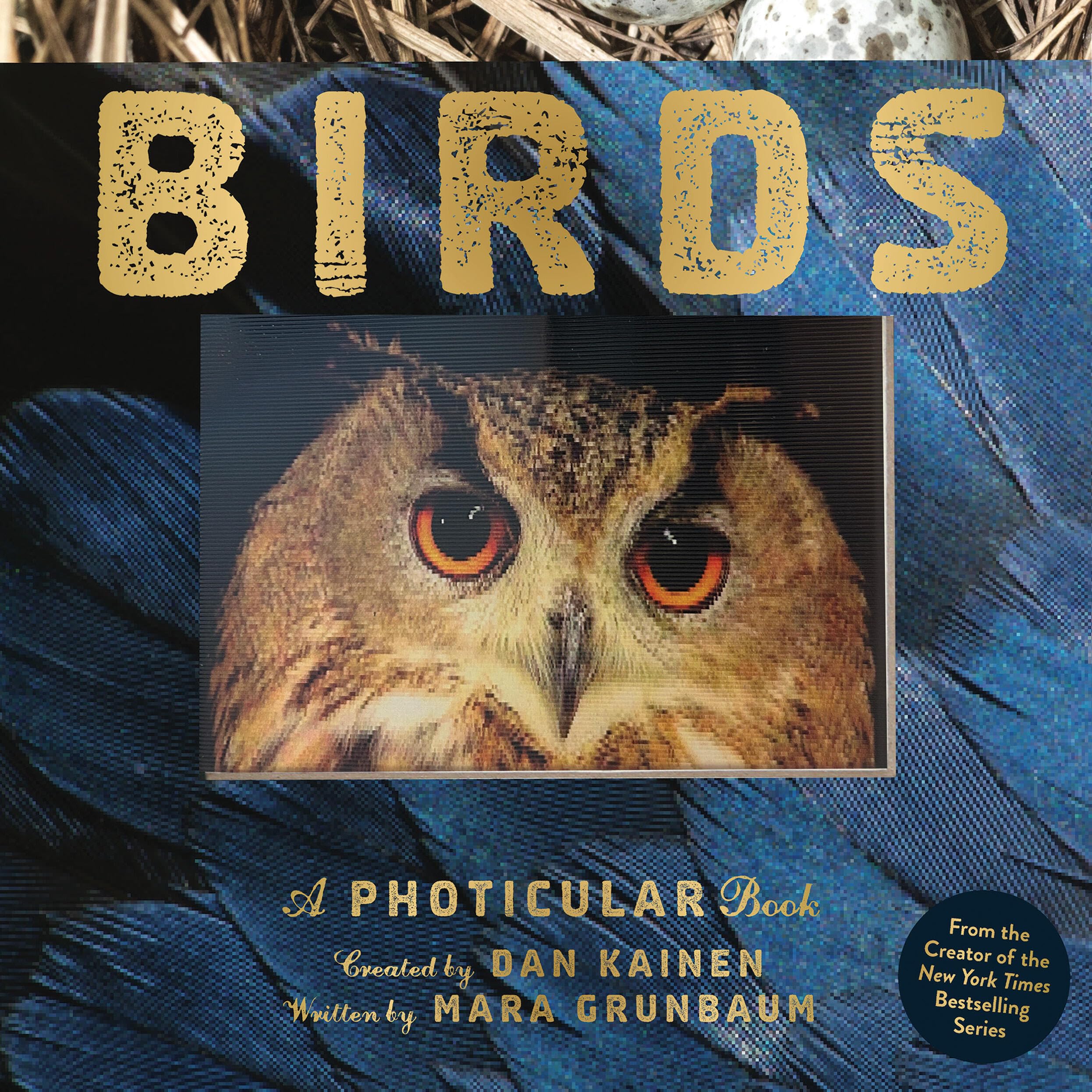 Dan Kainen Birds, A Photicular Book