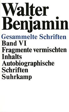 Gesammelte Schriften: VI: Fragmente vermischten Inhalts. Autobiographische Schriften