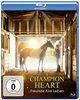 A Champion Heart - Freunde fürs Leben [Blu-ray]