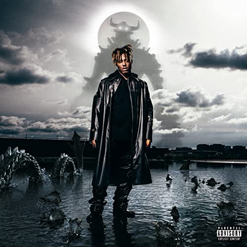 Fighting Demons (2LP) [Vinyl LP]