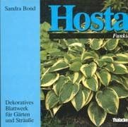 Hosta. Funkie. Dekoratives Blattwerk für Gärten und Sträuße