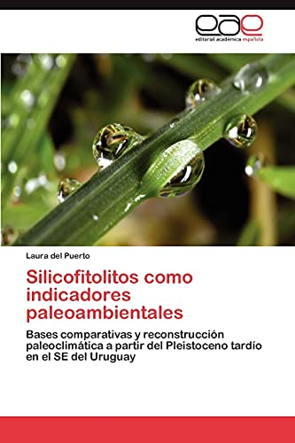 Silicofitolitos como indicadores paleoambientales: Bases comparativas y reconstrucción paleoclimática a partir del Pleistoceno tardío en el SE del Uruguay