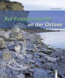 Auf Fossiliensuche an der Ostsee: Gesteine-Fossilien-Fundmöglichkeiten