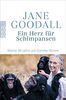 Ein Herz für Schimpansen: Meine 30 Jahre am Gombe-Strom