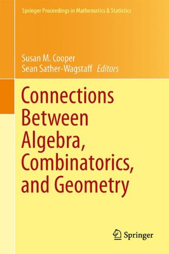 Connections Between Algebra, Combinatorics, and Geometry (Springer Proceedings in Mathematics & Statistics)