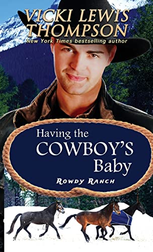 Having the Cowboy's Baby (Rowdy Ranch, Band 1)