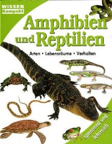 Amphibien und Reptilien - Wissen kompakt. Arten - Lebensräume - Verhalten