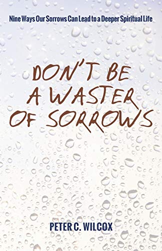 Don't Be a Waster of Sorrows: Nine Ways Our Sorrows Can Lead to a Deeper Spiritual Life
